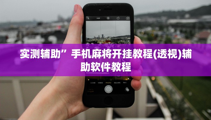 实测辅助”微乐陕西麻将开挂怎么买”开挂详细教程