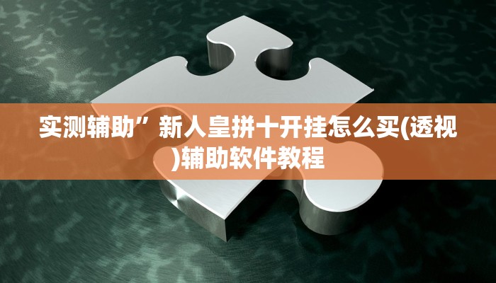 实测辅助”新人皇拼十开挂怎么买(透视)辅助软件教程