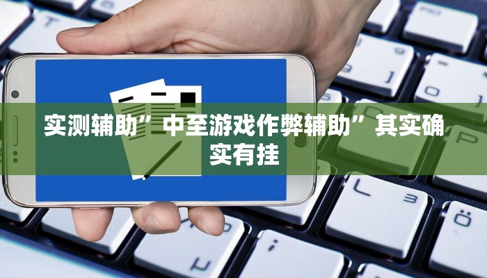 实测辅助”中至游戏作弊辅助”其实确实有挂