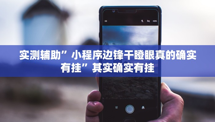实测辅助”小程序边锋干瞪眼真的确实有挂”其实确实有挂