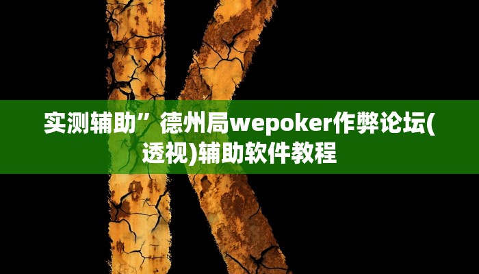 实测辅助”福建十三张用挂开挂软件(透视)辅助软件教程