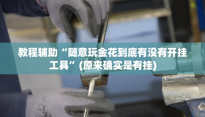 辅助神器“21点欢乐棋牌开挂神器下载”开挂详细教程