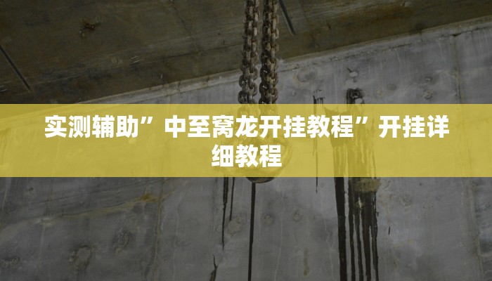 实测辅助”中至窝龙开挂教程”开挂详细教程