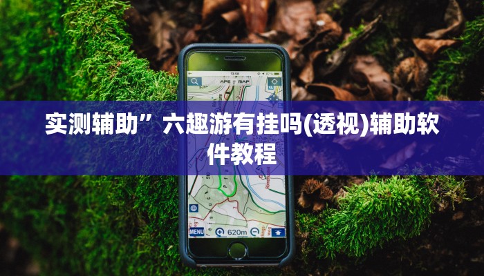 实测辅助”六趣游有挂吗(透视)辅助软件教程