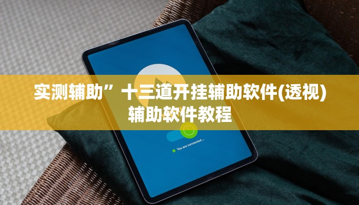 实测辅助”十三道开挂辅助软件(透视)辅助软件教程