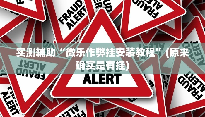 实测辅助“微乐作弊挂安装教程”(原来确实是有挂)