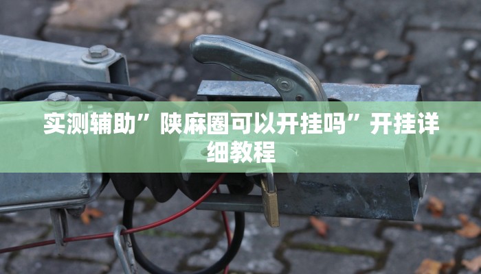 实测辅助”陕麻圈可以开挂吗”开挂详细教程