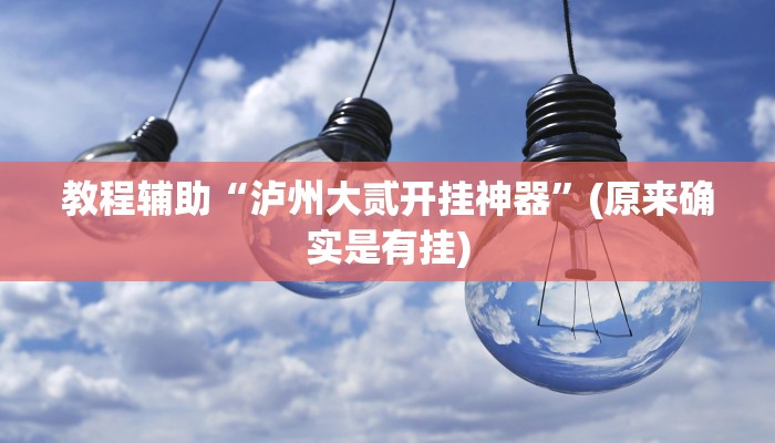 教程辅助“泸州大贰开挂神器”(原来确实是有挂)