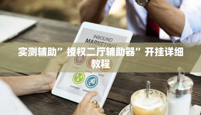 实测辅助”授权二厅辅助器”开挂详细教程