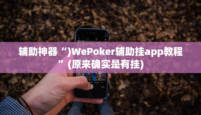 辅助神器“)WePoker辅助挂app教程”(原来确实是有挂)