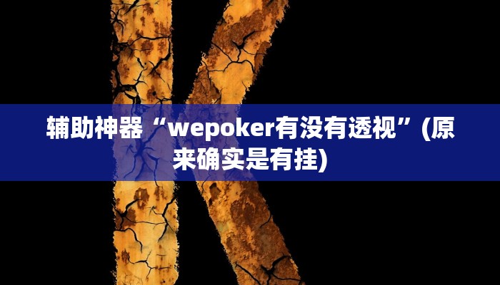 辅助神器“wepoker有没有透视”(原来确实是有挂)