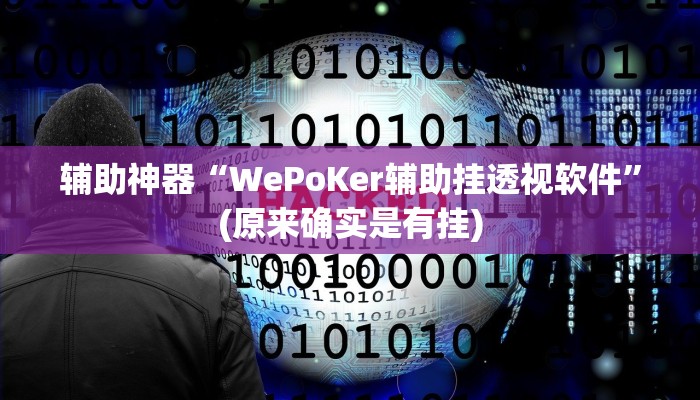 辅助神器“WePoKer辅助挂透视软件”(原来确实是有挂)
