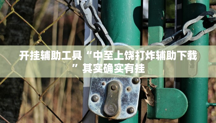 开挂辅助工具“中至上饶打炸辅助下载”其实确实有挂