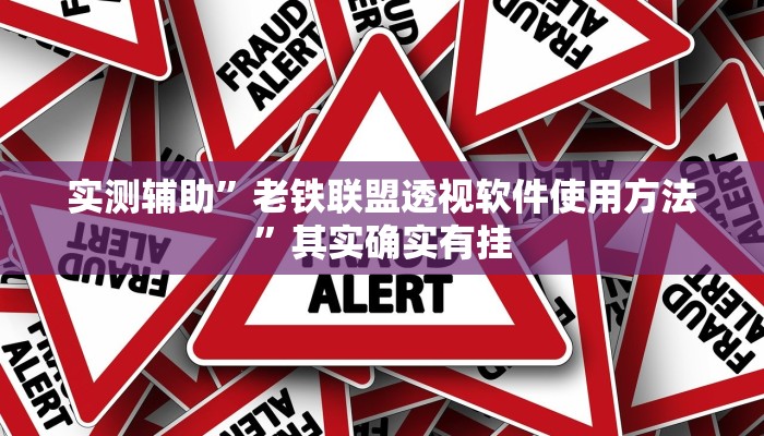 实测辅助”老铁联盟透视软件使用方法”其实确实有挂