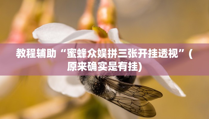 实测辅助”宜春情怀麻将到底有没有挂(透视)辅助软件教程