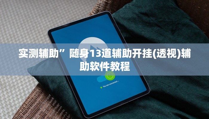 实测辅助”随身13道辅助开挂(透视)辅助软件教程