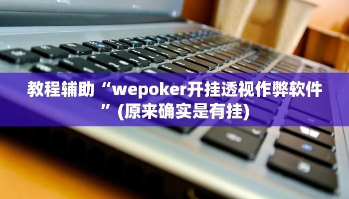 教程辅助“wepoker开挂透视作弊软件”(原来确实是有挂)