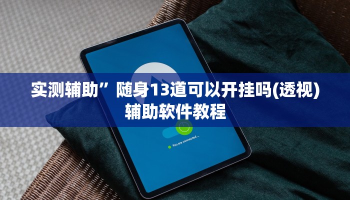 实测辅助”随身13道可以开挂吗(透视)辅助软件教程