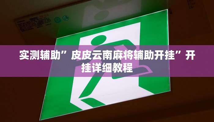 实测辅助”皮皮云南麻将辅助开挂”开挂详细教程