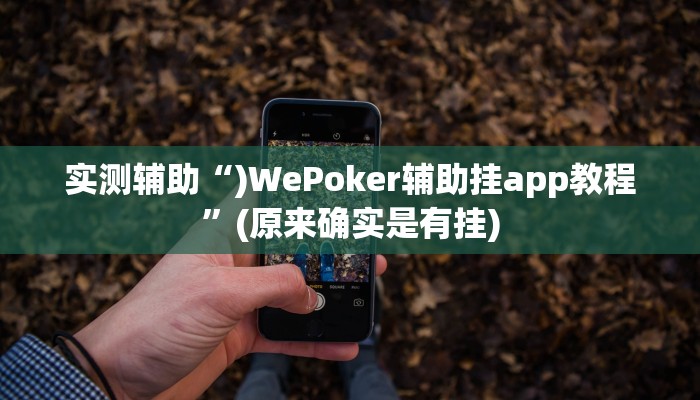 实测辅助“)WePoker辅助挂app教程”(原来确实是有挂)