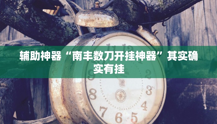 辅助神器“南丰数刀开挂神器”其实确实有挂