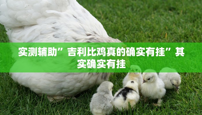 实测辅助”吉利比鸡真的确实有挂”其实确实有挂
