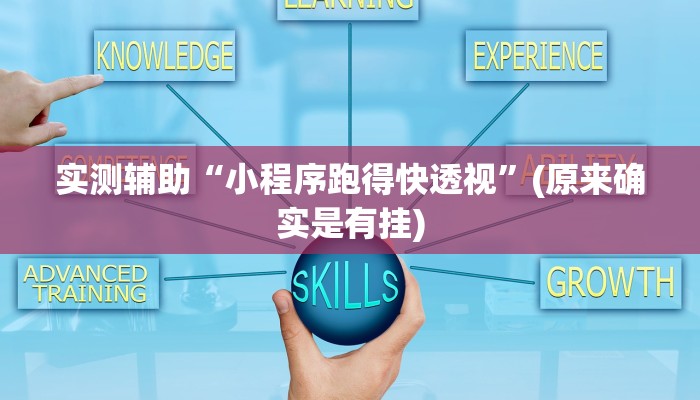 实测辅助“小程序跑得快透视”(原来确实是有挂)
