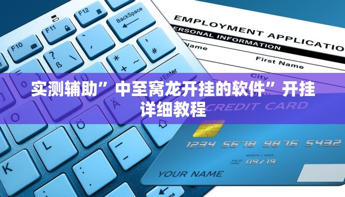 实测辅助”中至窝龙开挂的软件”开挂详细教程