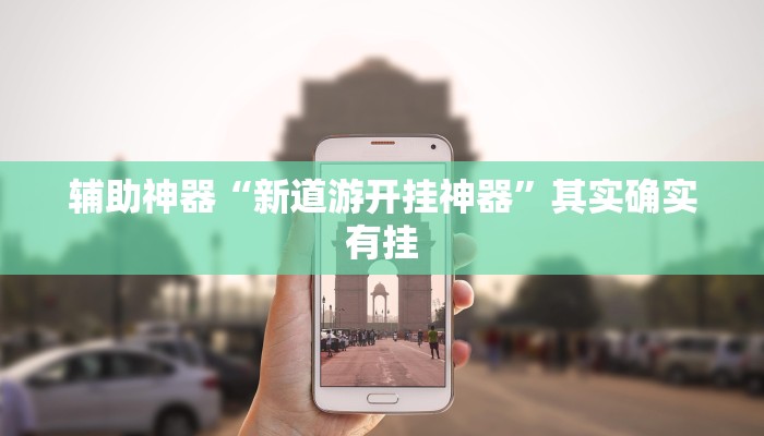 辅助神器“新道游开挂神器”其实确实有挂