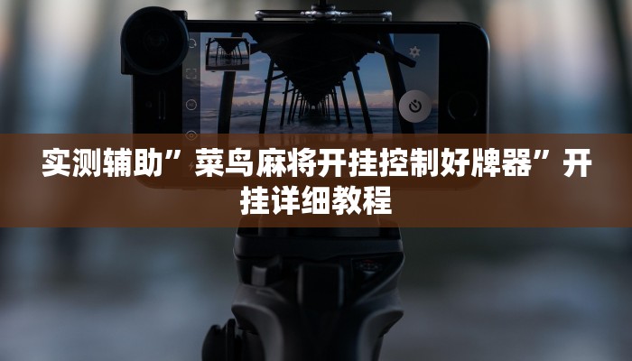 实测辅助”菜鸟麻将开挂控制好牌器”开挂详细教程