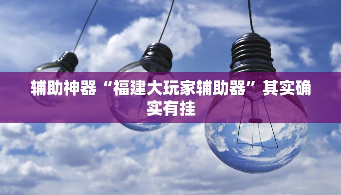 辅助神器“福建大玩家辅助器”其实确实有挂