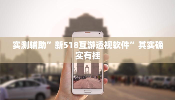 实测辅助”新518互游透视软件”其实确实有挂