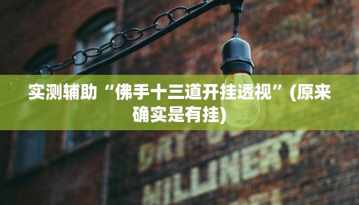 实测辅助“佛手十三道开挂透视”(原来确实是有挂)