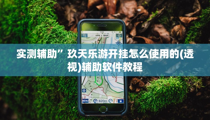 实测辅助”玖天乐游开挂怎么使用的(透视)辅助软件教程