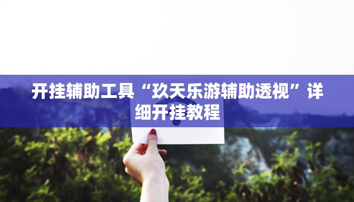 开挂辅助工具“玖天乐游辅助透视”详细开挂教程