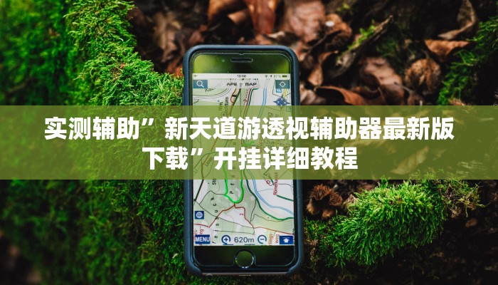 实测辅助”新天道游透视辅助器最新版下载”开挂详细教程