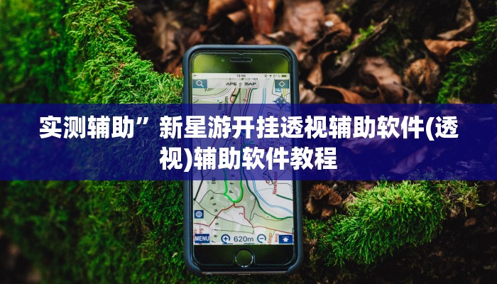 辅助神器“一起温州麻将到底有没有挂”其实确实有挂