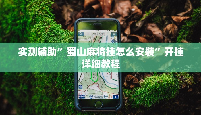开挂辅助工具“微乐三丁拐辅助”其实确实有挂