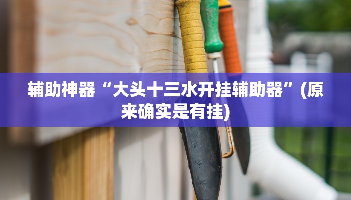 实测辅助”功夫川麻辅助器安装包”其实确实有挂
