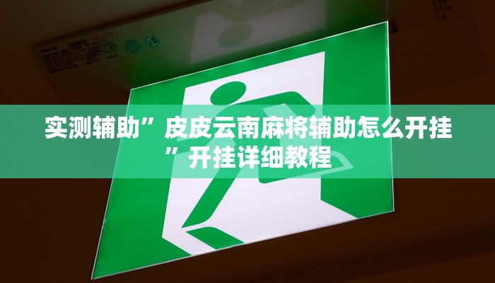 实测辅助”皮皮云南麻将辅助怎么开挂”开挂详细教程