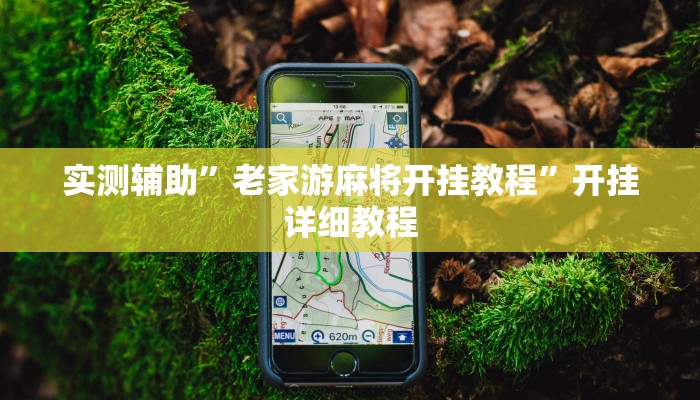 实测辅助”老家游麻将开挂教程”开挂详细教程