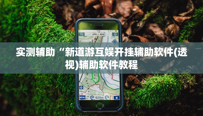 实测辅助“新道游互娱开挂辅助软件(透视)辅助软件教程