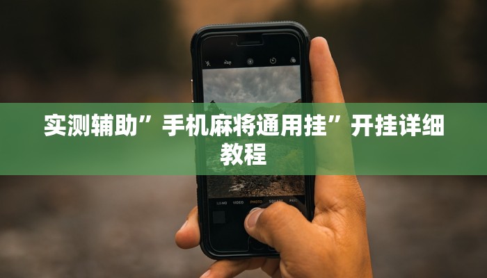 实测辅助”手机麻将通用挂”开挂详细教程