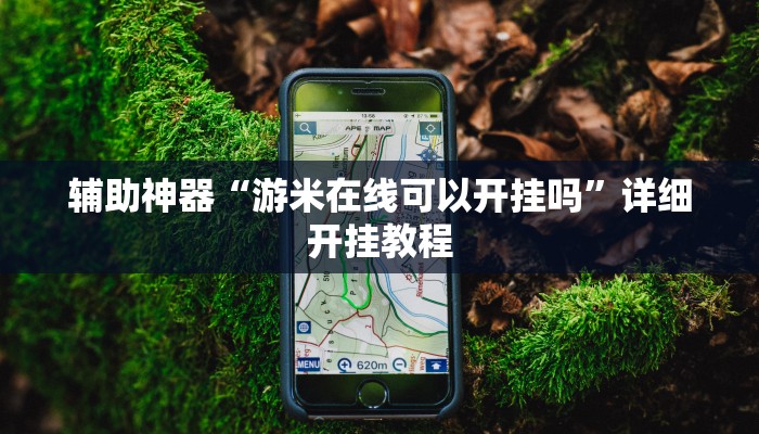 辅助神器“游米在线可以开挂吗”详细开挂教程