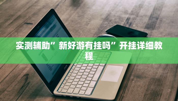 实测辅助”新好游有挂吗”开挂详细教程