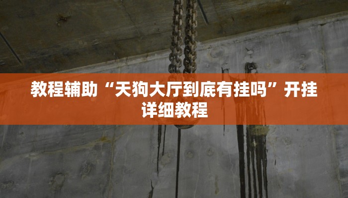 教程辅助“天狗大厅到底有挂吗”开挂详细教程