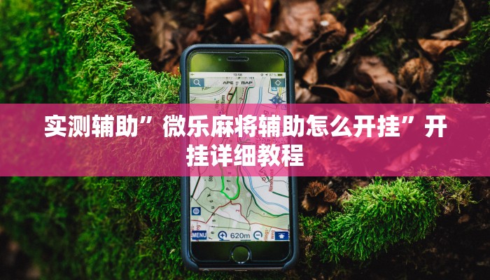 实测辅助”微乐麻将辅助怎么开挂”开挂详细教程
