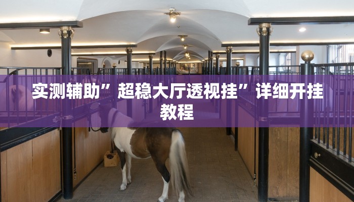 辅助神器“蒙乐呼伦贝尔麻将是怎么开挂的(透视)辅助软件教程