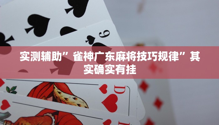 实测辅助”雀神广东麻将技巧规律”其实确实有挂