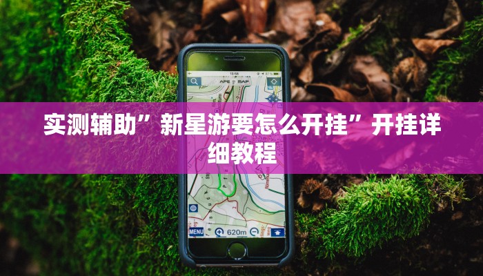 实测辅助”新星游要怎么开挂”开挂详细教程